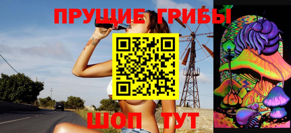 купить наркотик  Вход с VPN  Жигулёвск  Галлюциногенные грибы Psilocybine cubensis 